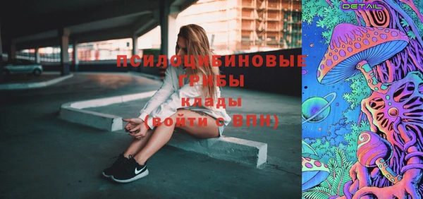 мяу мяу мука Корсаков