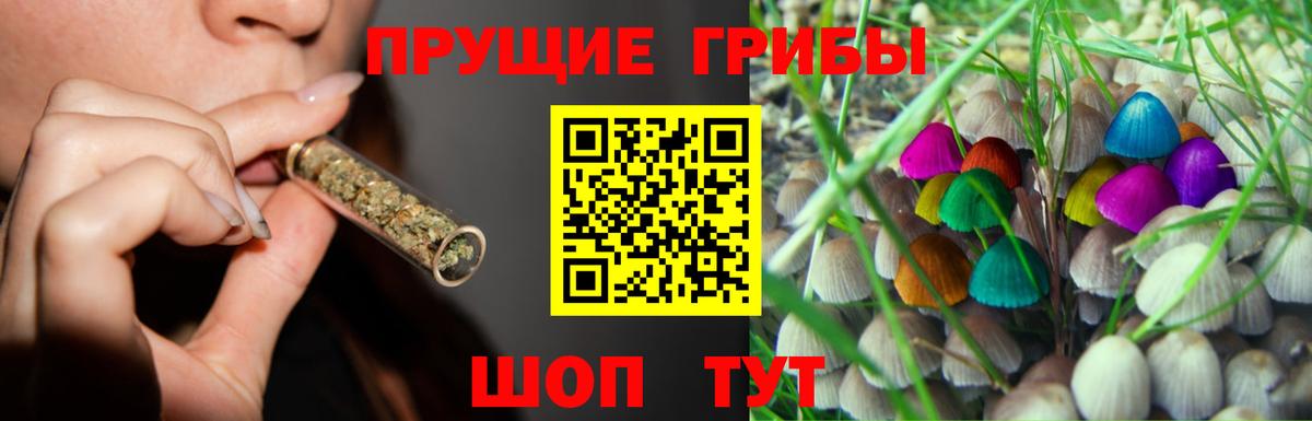 Мытищи  Галлюциногенные грибы Cubensis  Псилоцибиновые грибы мицелий  Вход с VPN 